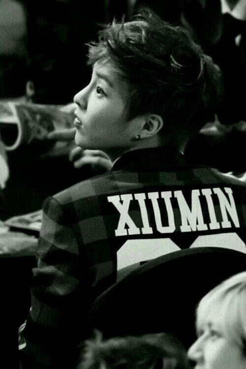 xiumin 