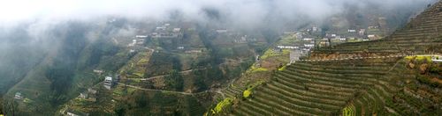 蜈蚣岭村就安然憩息在安徽南部的崇山峻岭上,被四处葱茏绿色和满山