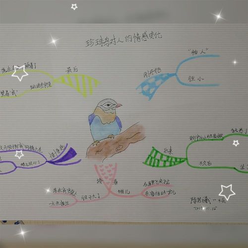 思维导图梳理这些怕人胆小的珍珠鸟对人的情感变化