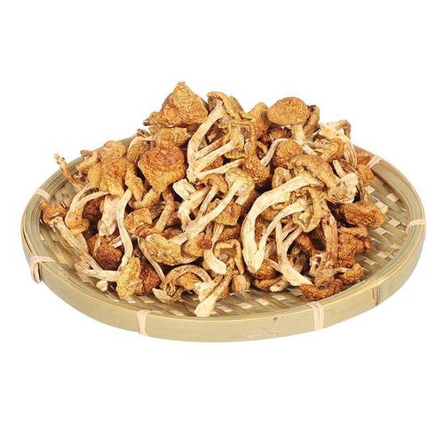 滑子蘑干滑子菇干货新鲜小鸡炖蘑菇非食用菌菇香菇类火锅煲汤 参数