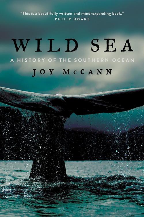wild sea