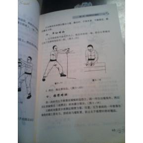 顾汝章秘传铁砂掌