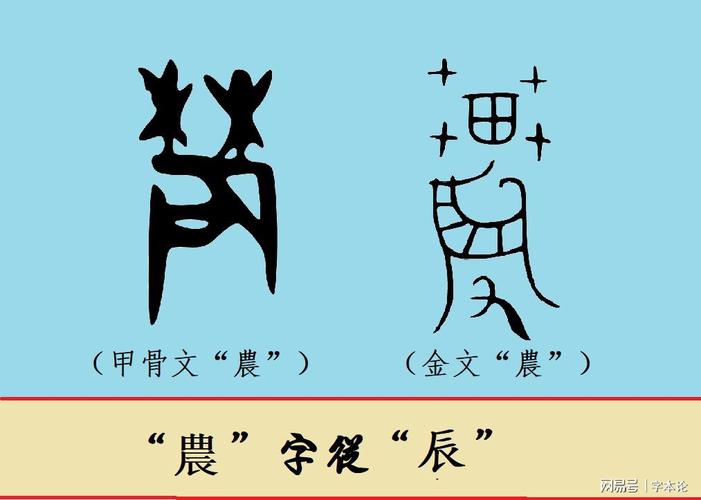 你知道吗?"辰"本为"蜃","农"与"辱"二字里竟藏着农具