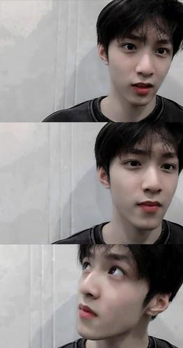 刘耀文湿发造型:又帅又欲