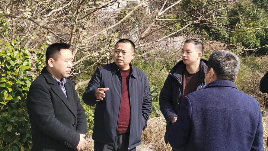 区政府副区长谭庆年(左二)调度城镇环境基础设施建设