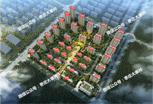 枣庄史上最热楼盘:金玉嘉园调研报告