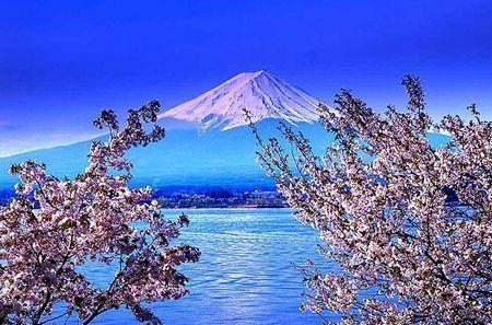 关于富士山的手抄报关于孝的手抄报