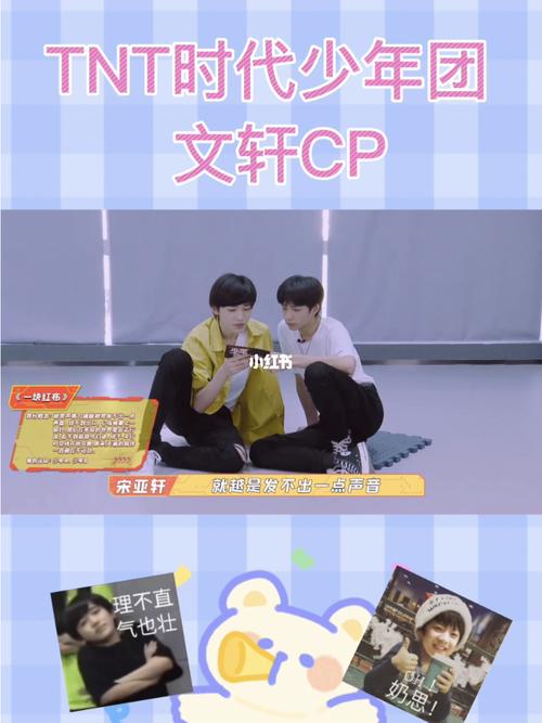 文轩cp 越磕越甜!_tnt时代少年团_娱乐_综艺片段