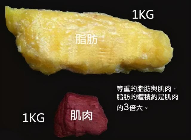 6个哑铃复合动作锻炼肌肉塑造紧致身材保持年轻体态