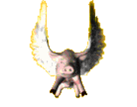 大家没瞎说  佳缘上的事也能当真,猪就可以在天上飞了.