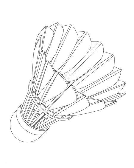 羽毛球的规格是几根毛啊!