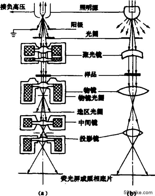 束,通过与样品的相互作用,激发出表征材料显微组织结构特征的各种信息