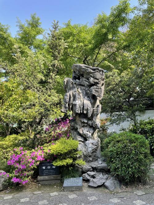 汇龙潭公园_杜鹃_出行_人文风光展示