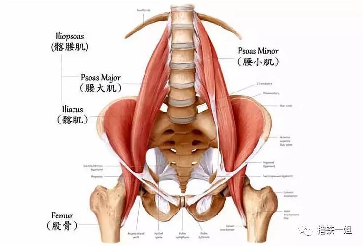 张天爱紧身西服泳装上热搜,但这骨盆前倾隔着屏幕都觉得疼!