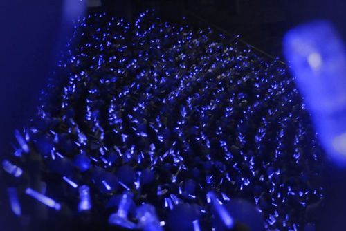 这是张杰的应援吗?