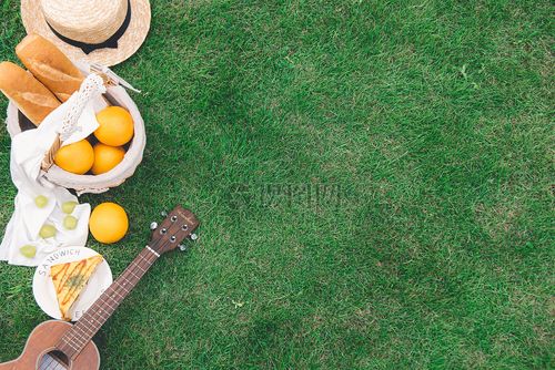 户外绿草地上野餐