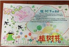 植树节活动宣传标语