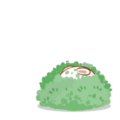 兔蛮蛮小仙女表情小仙女专用表情包