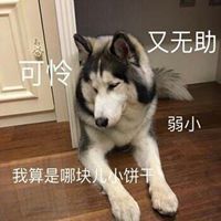 弱小可怜表情包【点击鼠标右键下载】