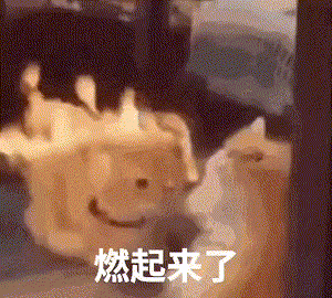 燃起来了_燃起表情