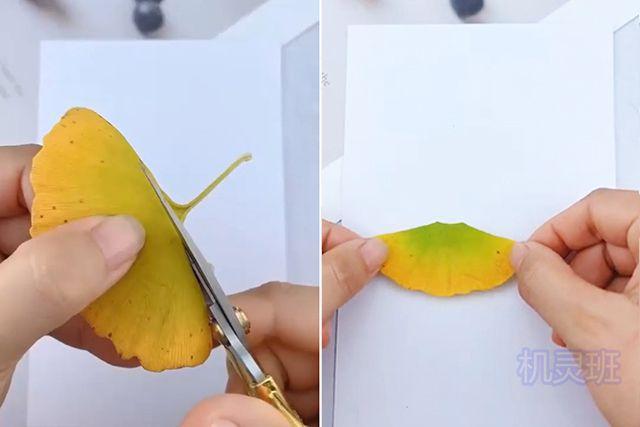 贴画手工,有风景,蝴蝶,花朵等等,本文示范如何用树叶裁剪粘贴成生动的