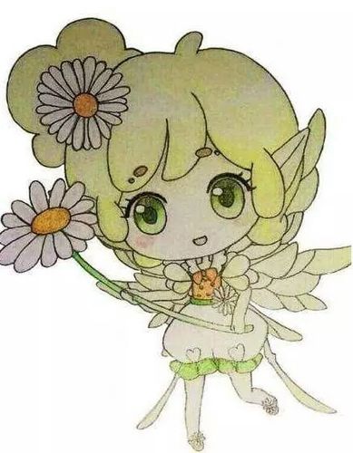 小雏菊玛格丽特