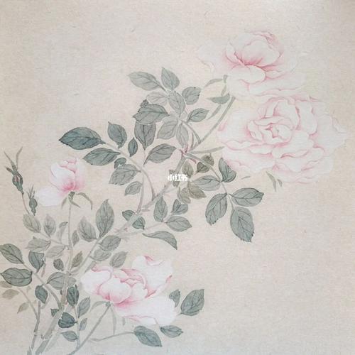 国画没骨月季26100