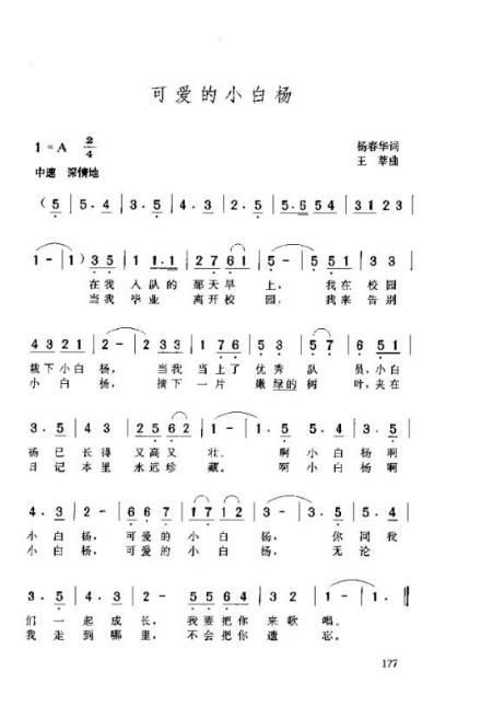 可爱的小白杨简谱