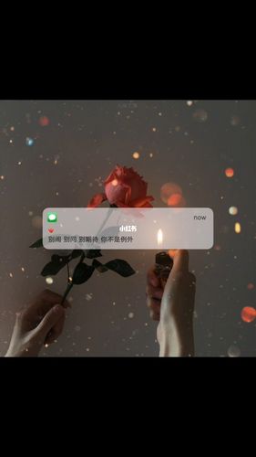 别闹 别问 别期待 你不是例外_背景图_素材_壁纸