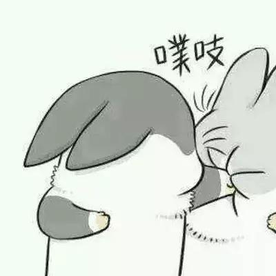 表情包情侣头像一对图片表情情侣头像一对