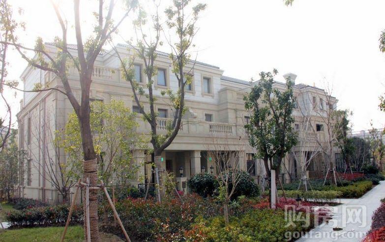 上海安亭瑞仕华庭别墅实景图-上海购房网