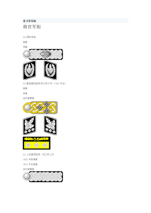 党卫军军衔简介.doc