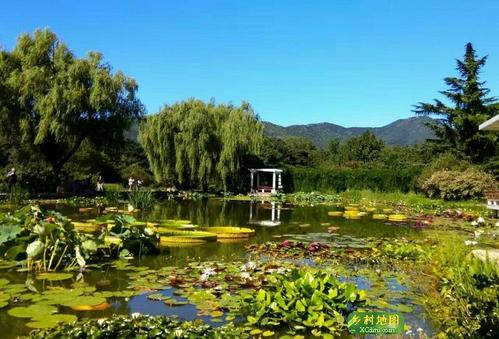 中国科学院植物研究所北京植物园景区旅游攻略之景点2828共40页