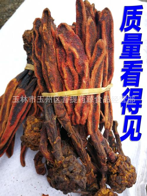 回春草 顶天柱 云南不老草草苁蓉泡酒料 硬劲草商品描述食用方式烹调