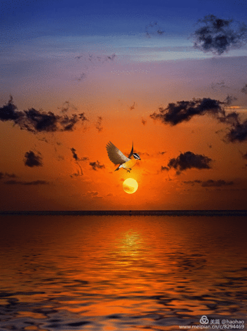 夕阳无限好,只是一抹沙,月光簿里映红霞