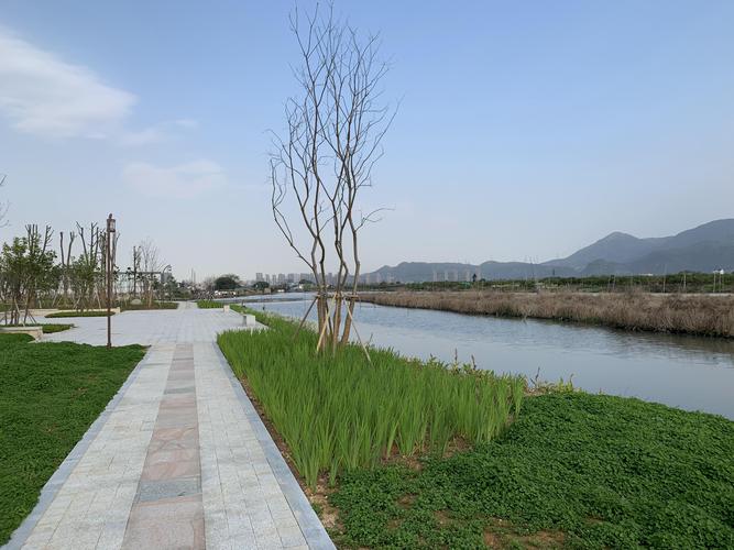 温州城市绿肾:三垟湿地公园