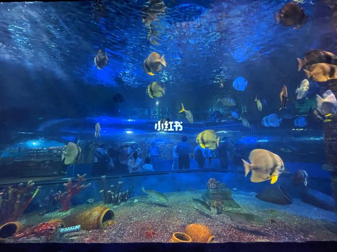 你喜欢海风咸咸的气息_镜湖湿地海洋世界自由行热门攻略_五一去哪玩