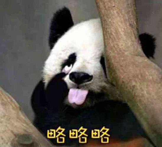 熊猫表情包