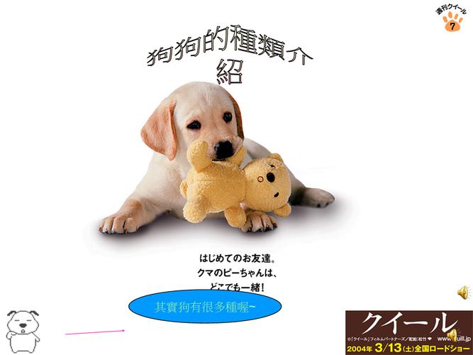 狗狗的种类介绍.ppt