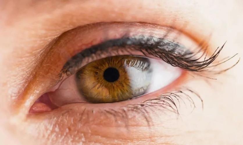 科学家教你"一眼"看穿对方智商,人的瞳孔越大智商真的