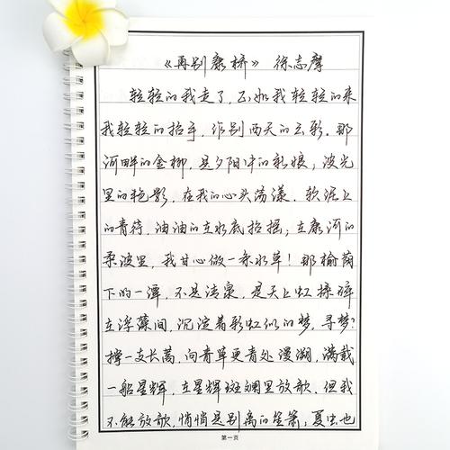 练字初学者字体手写个性硬笔书法小清新句子优美本优练字本