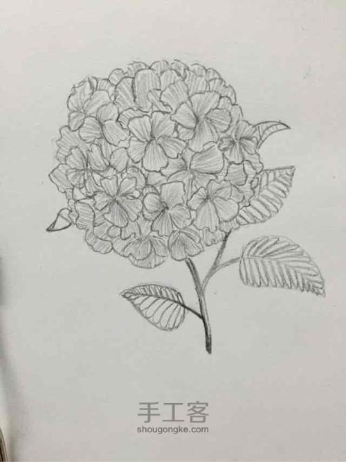 满天星简笔画带色版