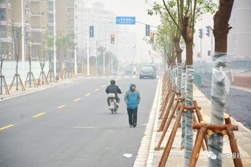 闵行| 往莲花南路添捷径,这条大调研中的"牵挂路"通车了!_上观新闻