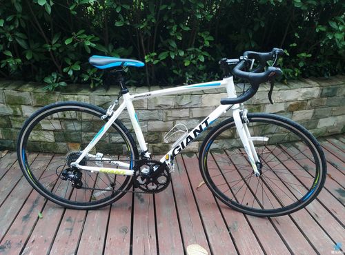 95新捷安特风标2500公路车