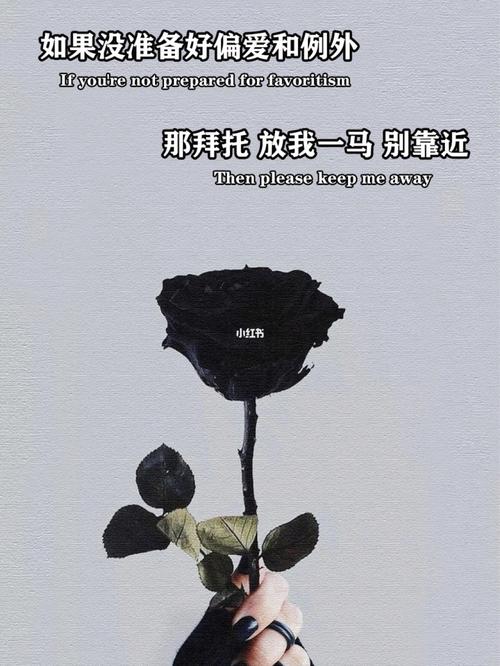 偏爱和例外_背景图_素材_壁纸