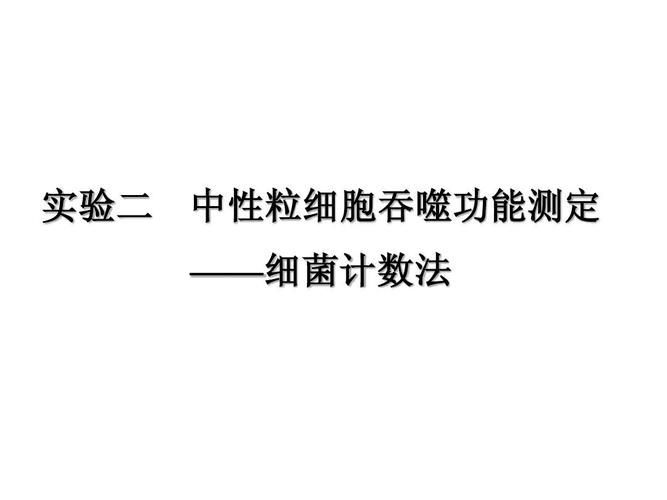 小吞噬实验ppt