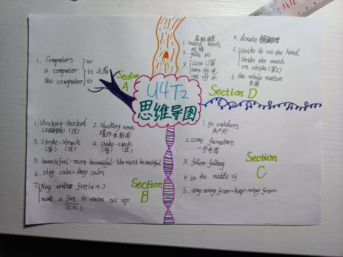 8年7班u4t2思维导图