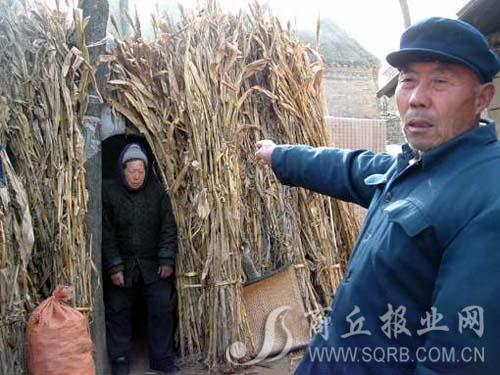 睢县古稀夫妇窝棚度日一年多无人过问