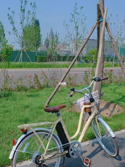 捷安特旗下品牌莫曼顿首次骑行50公里告捷!_骑车_环球