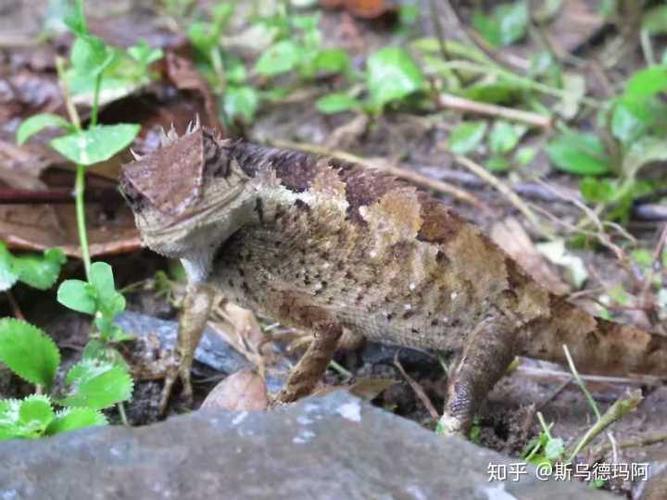 云南瑞丽德宏乱吗,有危险吗?